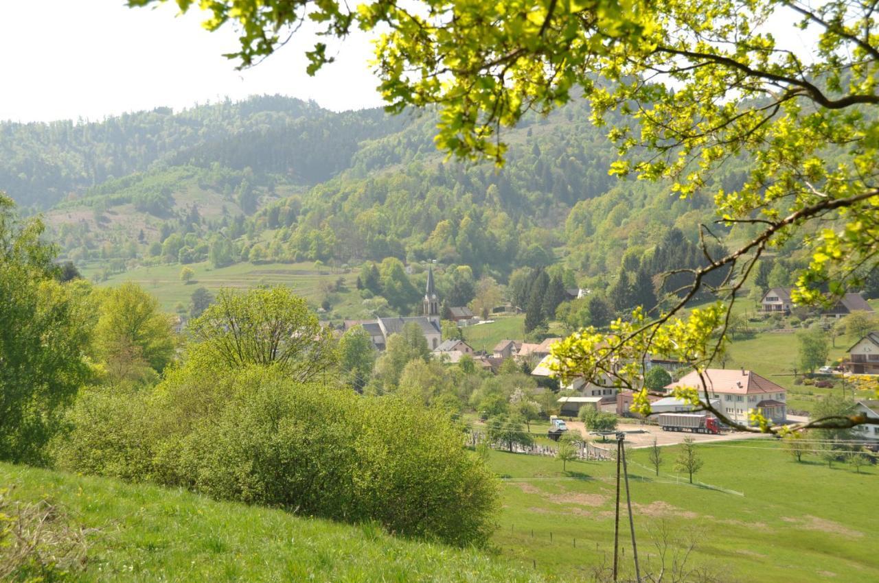 Appartement à Mitzach Extérieur photo
